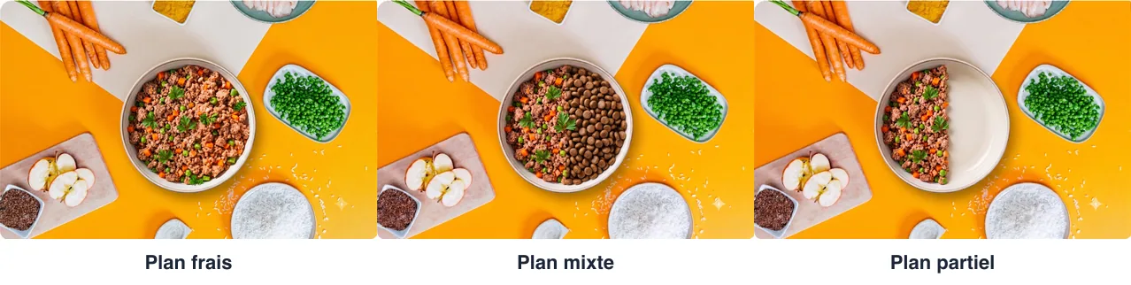 Les trois formules Dog Chef côte à côte : gamelle de repas frais, gamelle mixte frais et croquettes, gamelle partielle