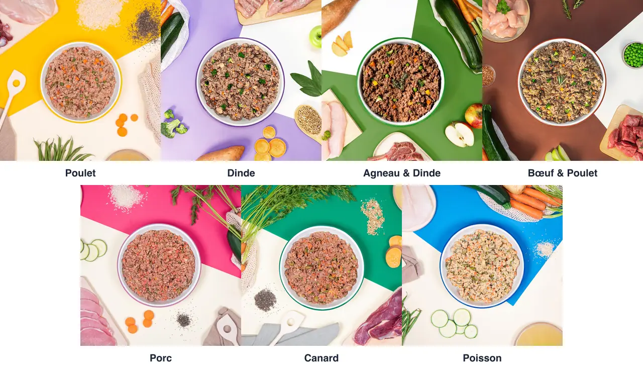 Les sept recettes fraîches Dog Chef en gamelle : poulet, dinde, agneau et dinde, bœuf et poulet, porc, canard, poisson