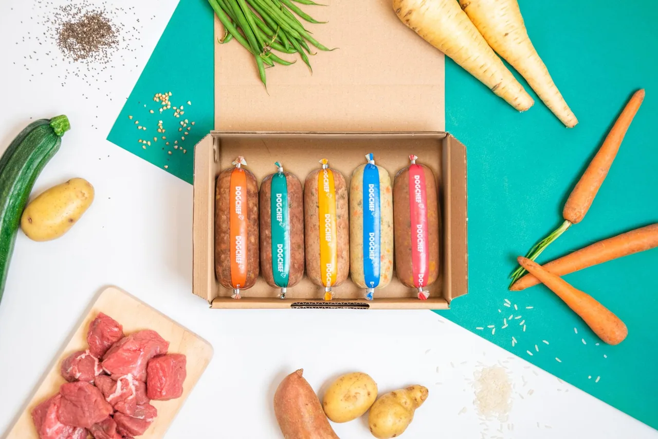Boîte Dog Chef ouverte avec cinq portions journalières de repas frais, entourée de viande crue, carottes et pommes de terre