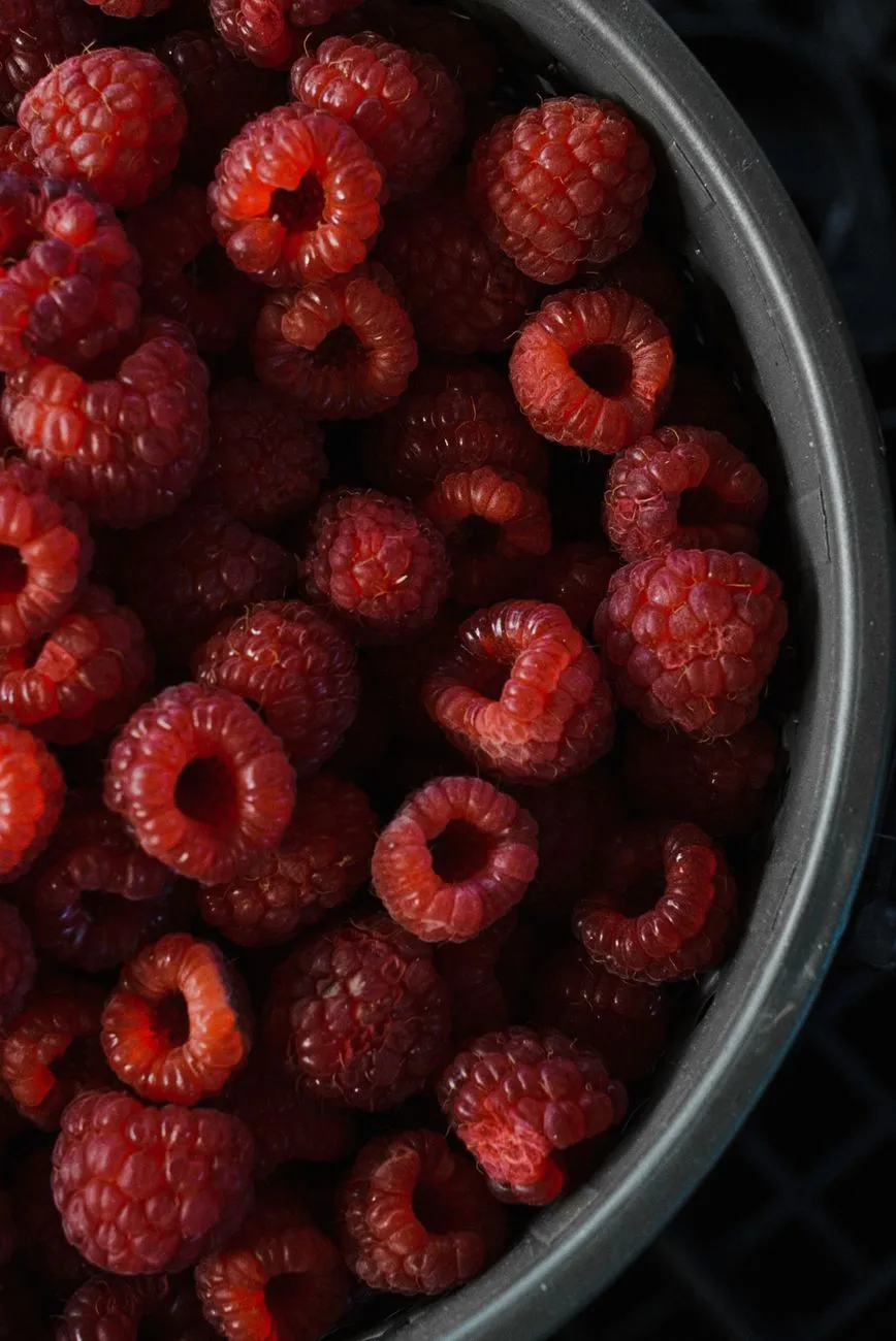 Framboises fraîches et mûres dans un bol