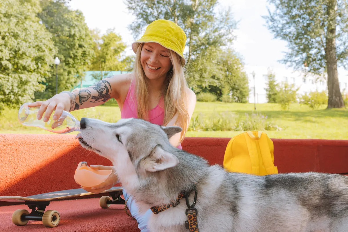 Femme versant de l'eau d'une bouteille dans les mains pour faire boire un chien husky en extérieur