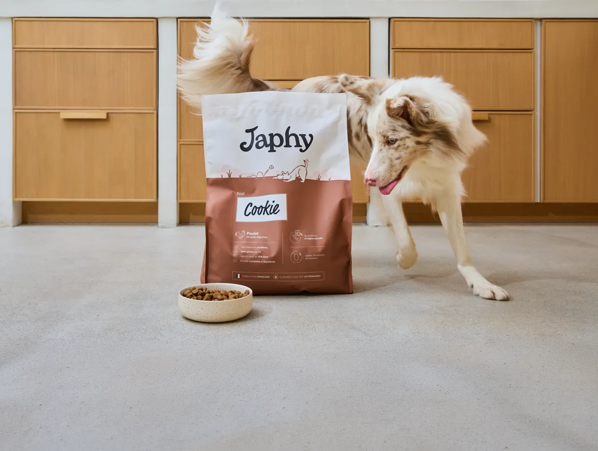 Sac de croquettes Japhy personnalisé au prénom du chien, posé au sol à côté d'une gamelle et d'un border collie