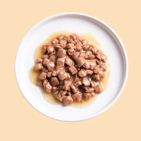 Pâtée Petty Well au poulet en sauce pour chat servie dans une assiette