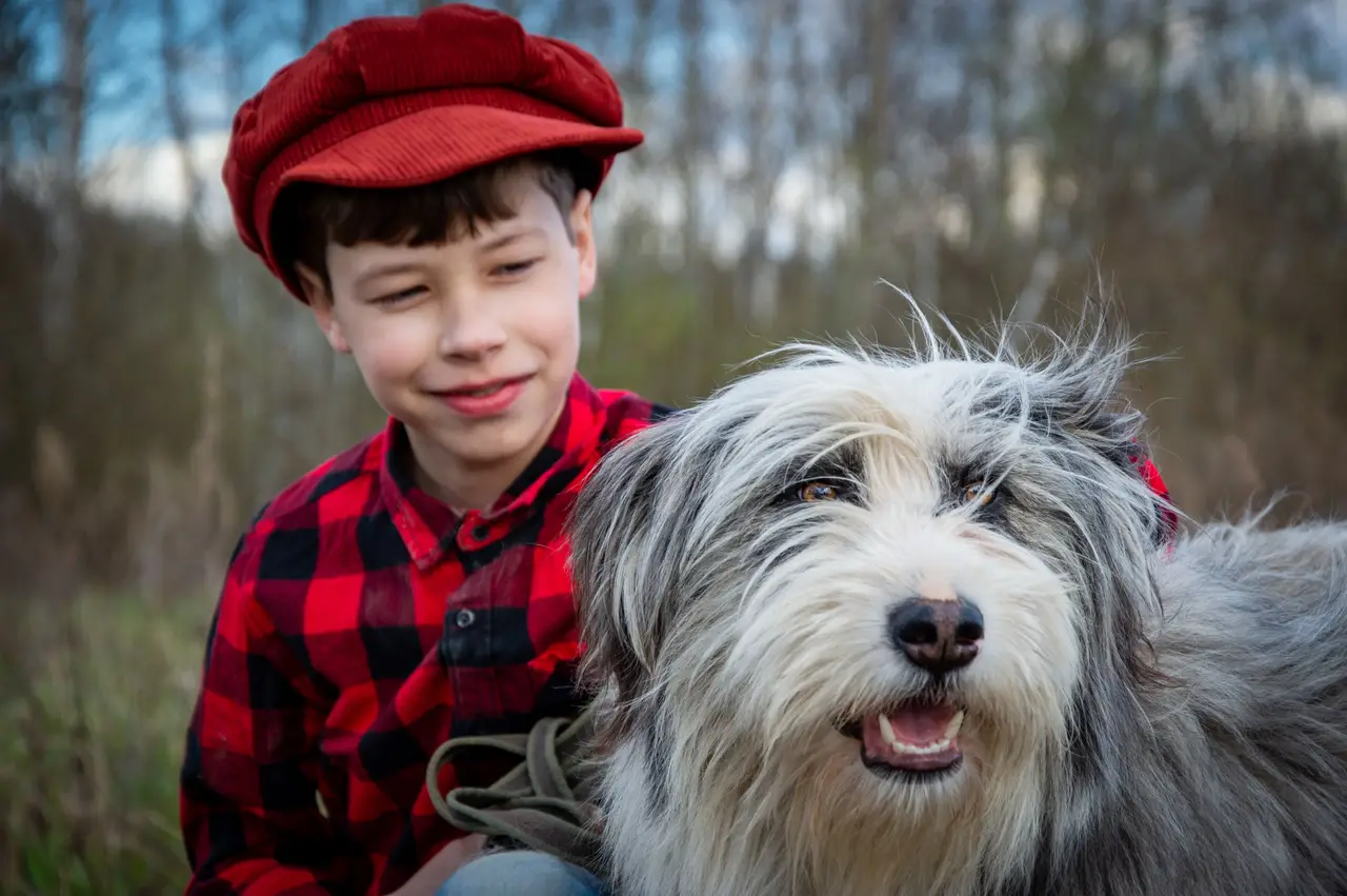 Bearded Collie assis au premier plan à côté d'un garçon en chemise à carreaux et casquette rouge