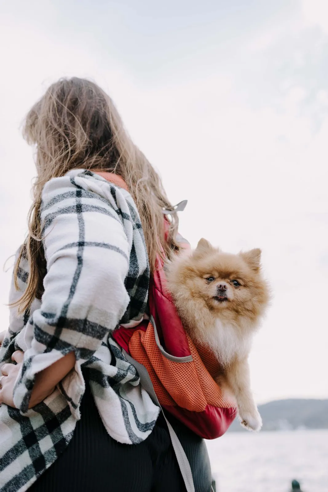 Femme en randonnée avec un poméranien installé dans un sac à dos de portage rouge