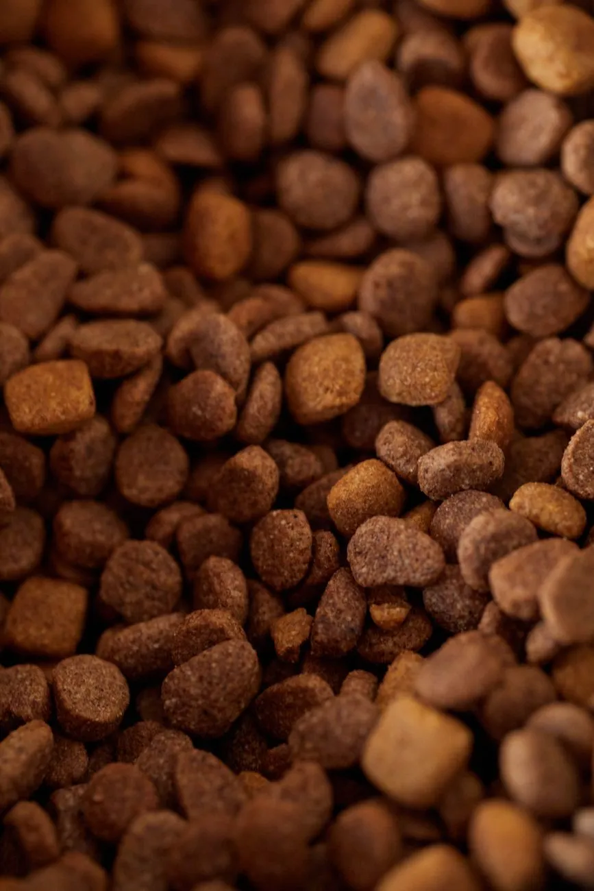 Gros plan sur des croquettes brunes pour chien