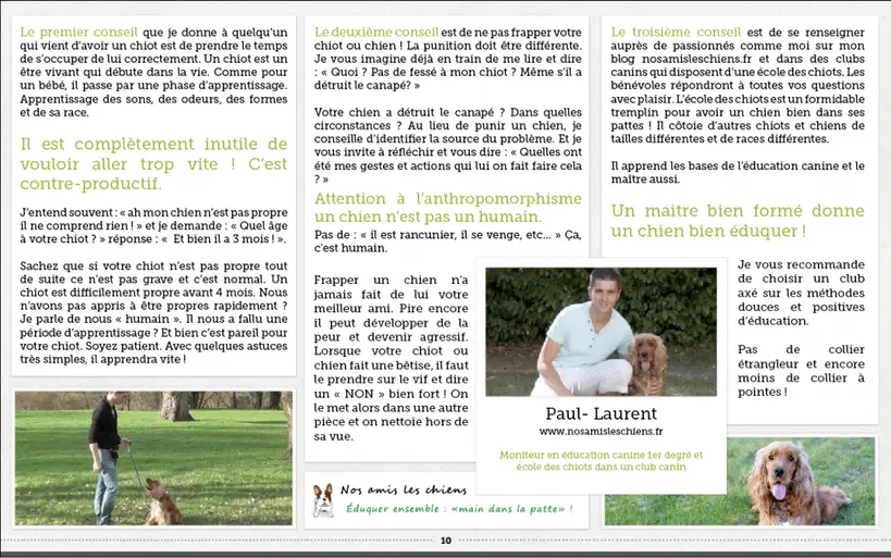 Nos Amis Les Chiens