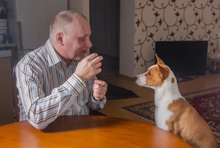 parler à son chien