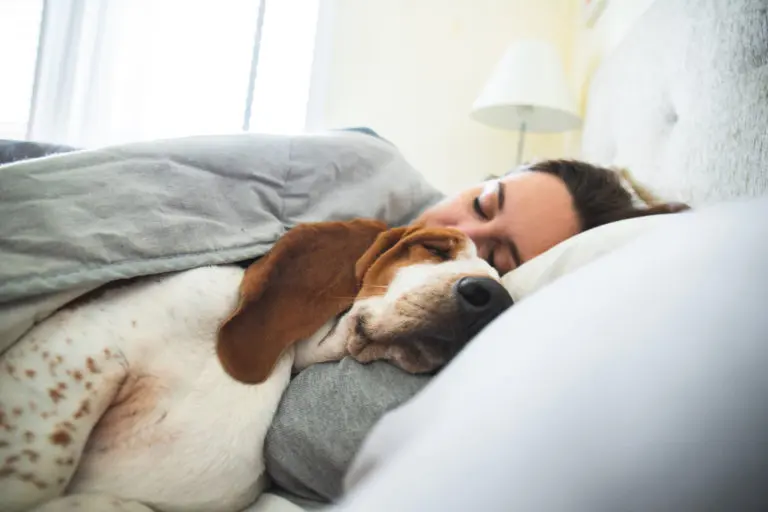 dormir avec son chien