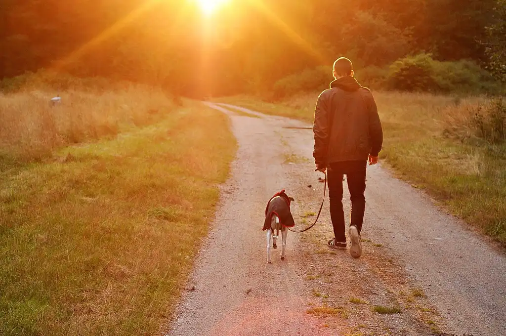être un bon maître pour son chien