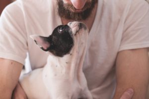 gagner la confiance de son chien