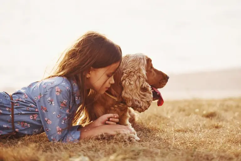 apprendre la propreté à son chien