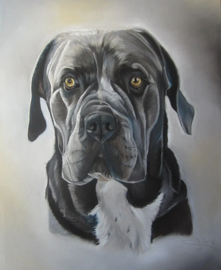 cane corso pastel