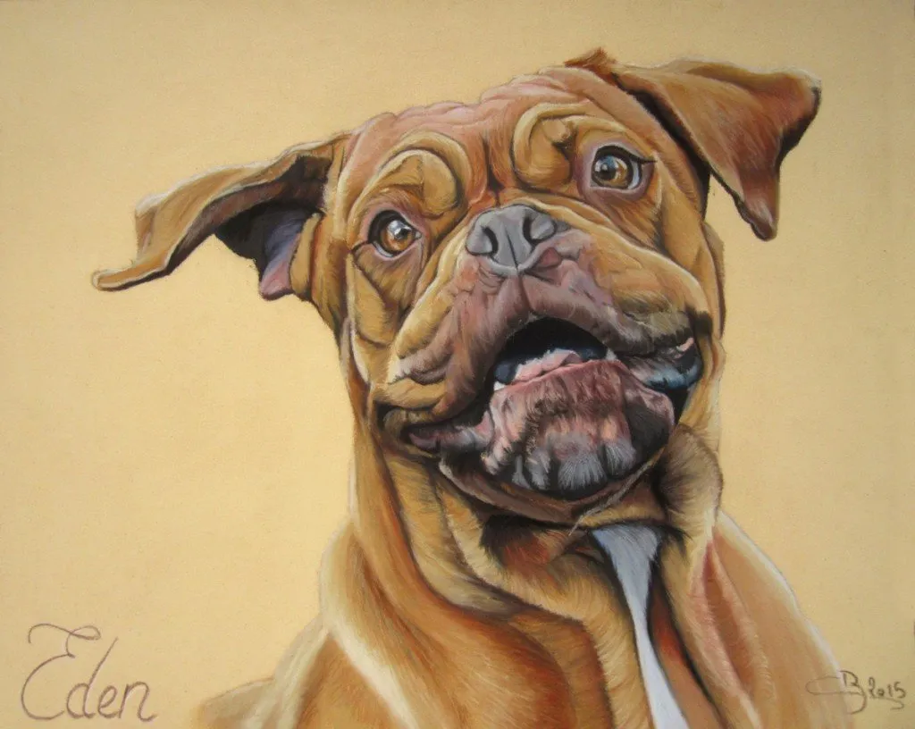 dogue de bordeaux pastel