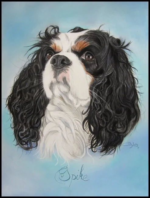 cavalier king charles aux pastels