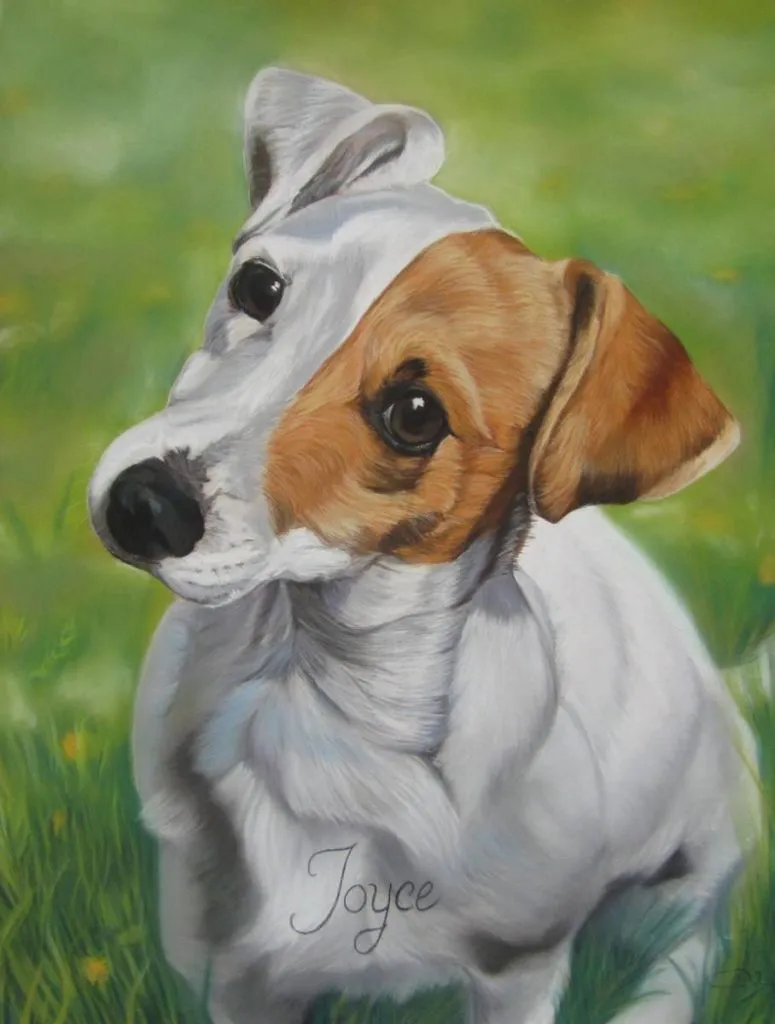 tableau-jack-russel