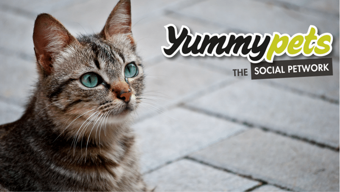 Yummypets : Partagez vos expériences animalières