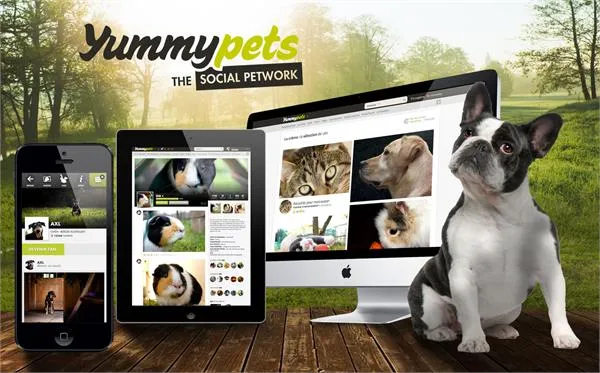 yummypets-android-ios