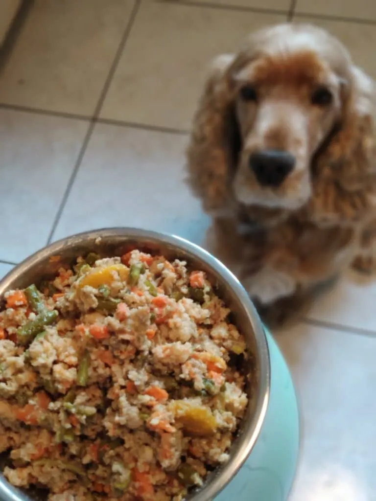 Dog Chef recette poisson