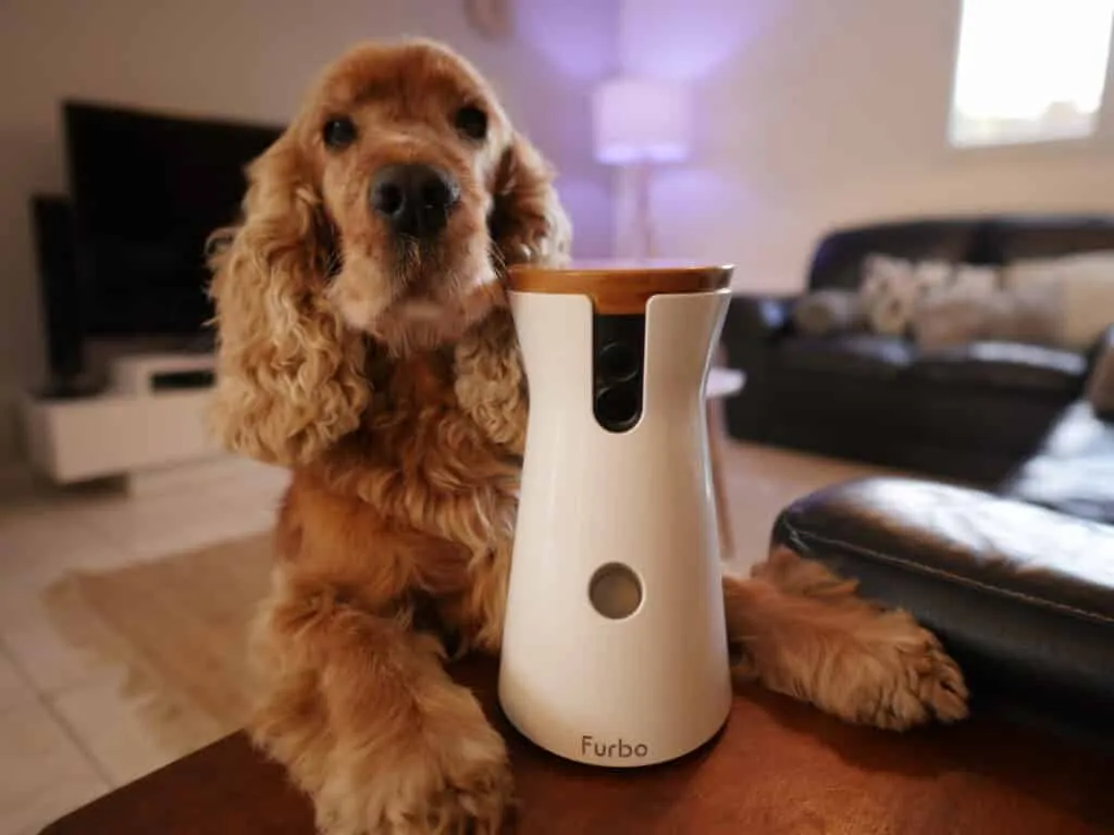 Furbo dog caméra pour chien