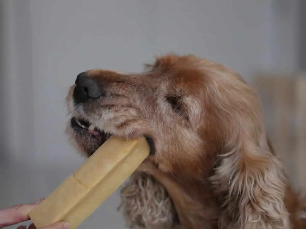 fromage de yak pour chien