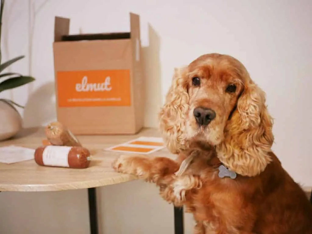 prix elmut repas chien