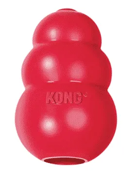 Le kong pour chien