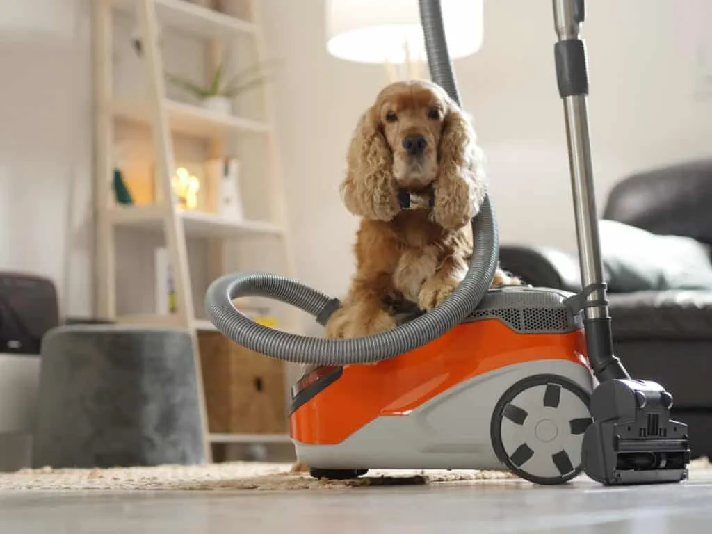 aspirateur spécial poil de chien