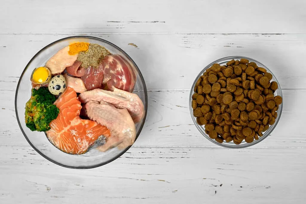 alimentation barf pour chien