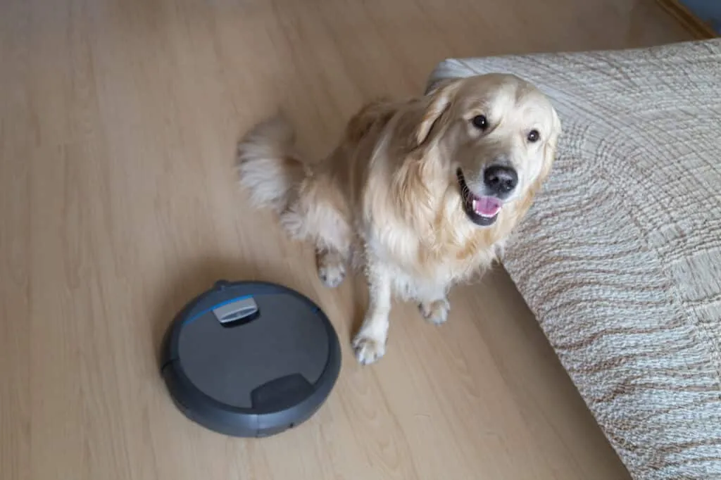 aspirateurs pour poils de chien