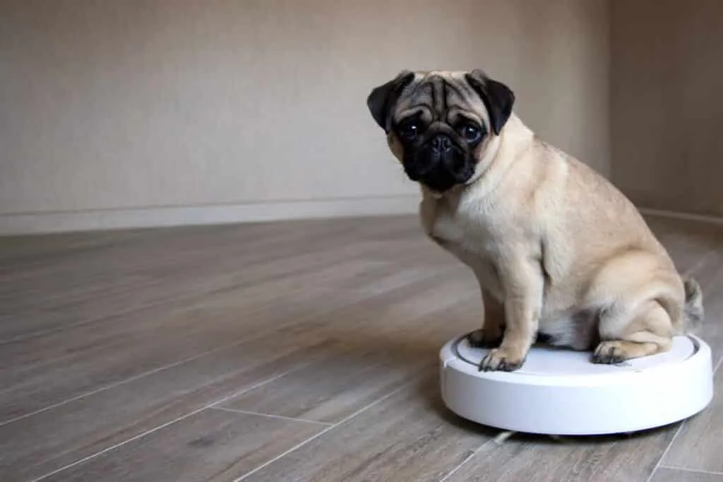aspirateurs robots pour poils de chien