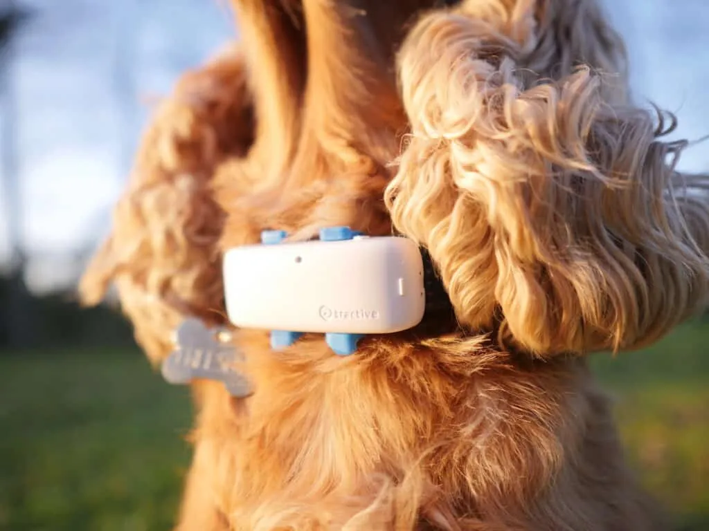 Tractive GPS