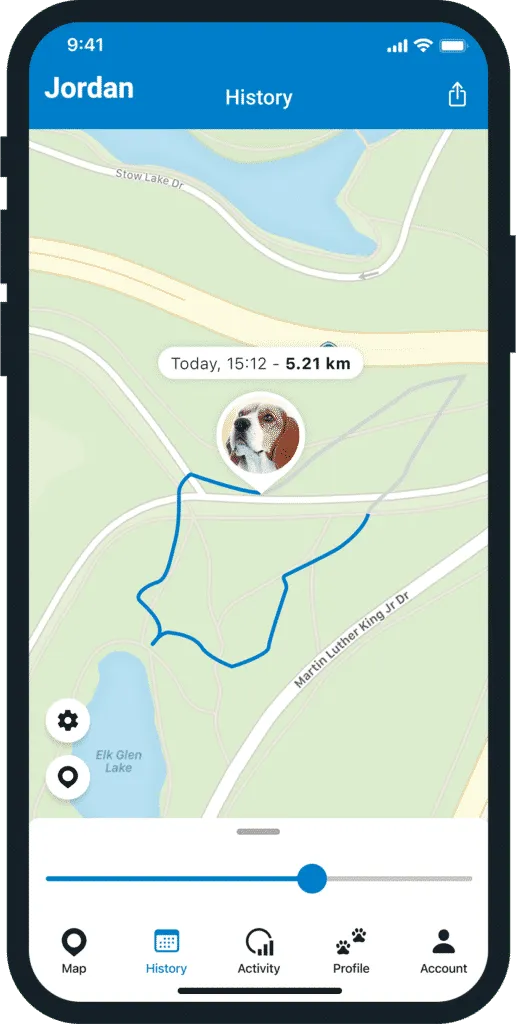 collier GPS tractive suivi d'activité