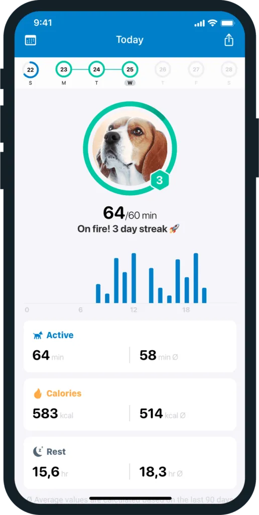 suivi d'activité GPS tractive
