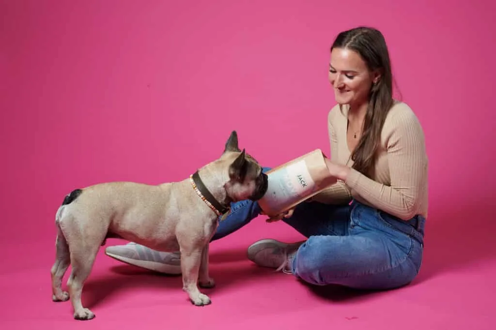 hello jack complément alimentaire pour chien