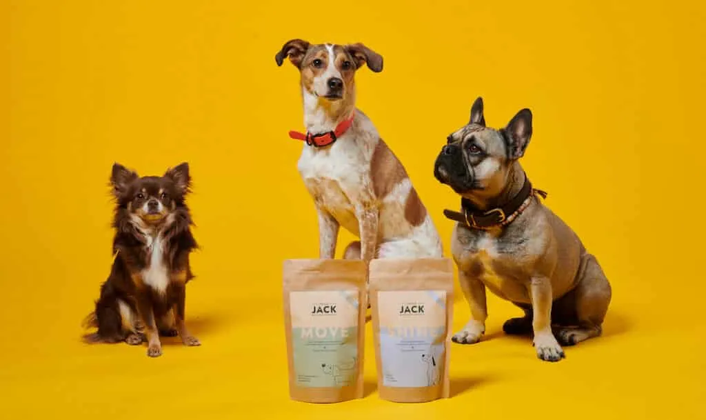 complément alimentaire pour chien