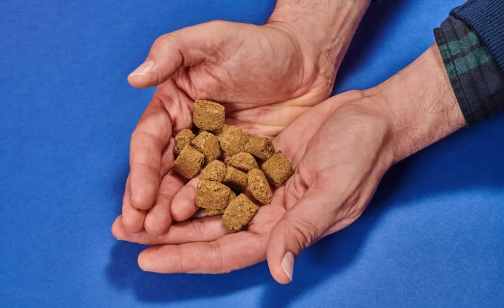 Complément alimentaire pour chien en bouchée