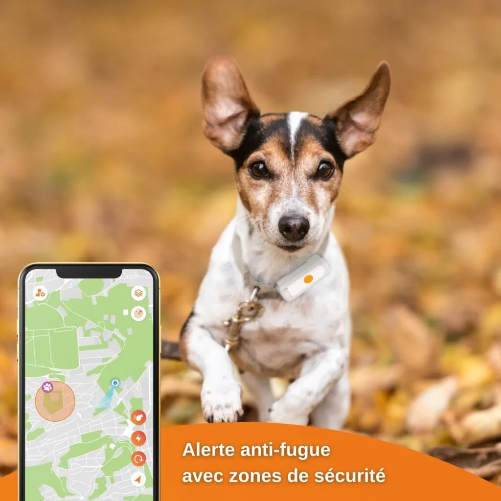 GPS pour chien anti fugue