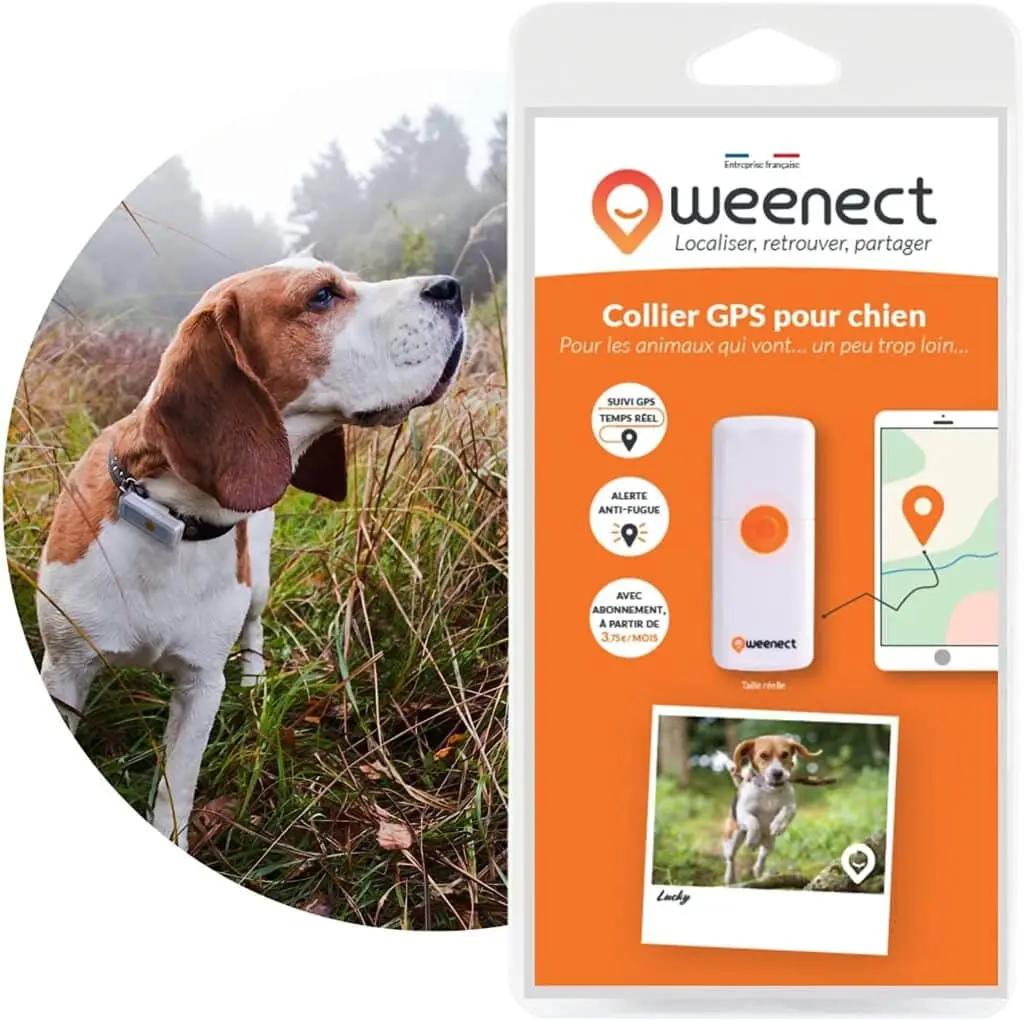 traceur GPS pour chien Weenect