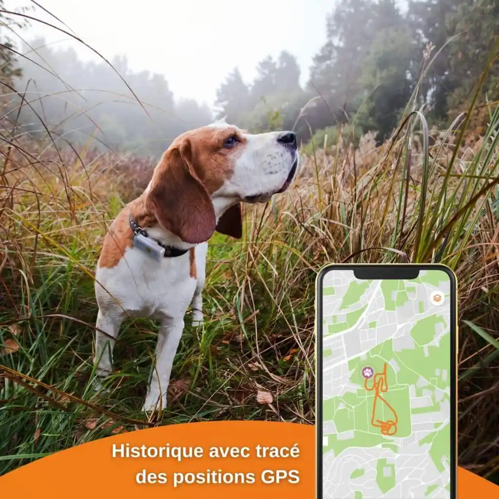 GPS pour chien Weenect dogs 2