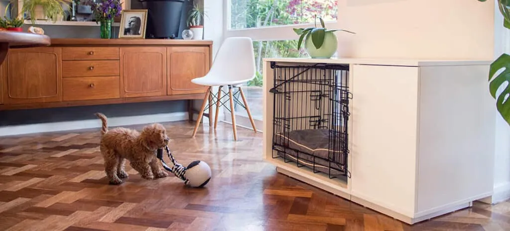 fido nook avec cage de transport