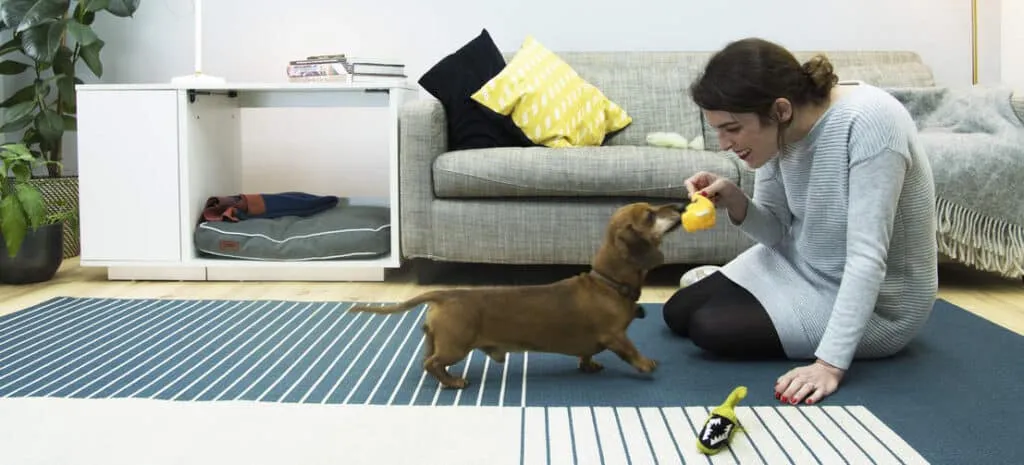 omlet fido nook