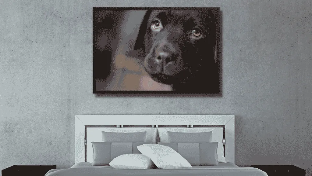 tableau chien jeune labrado