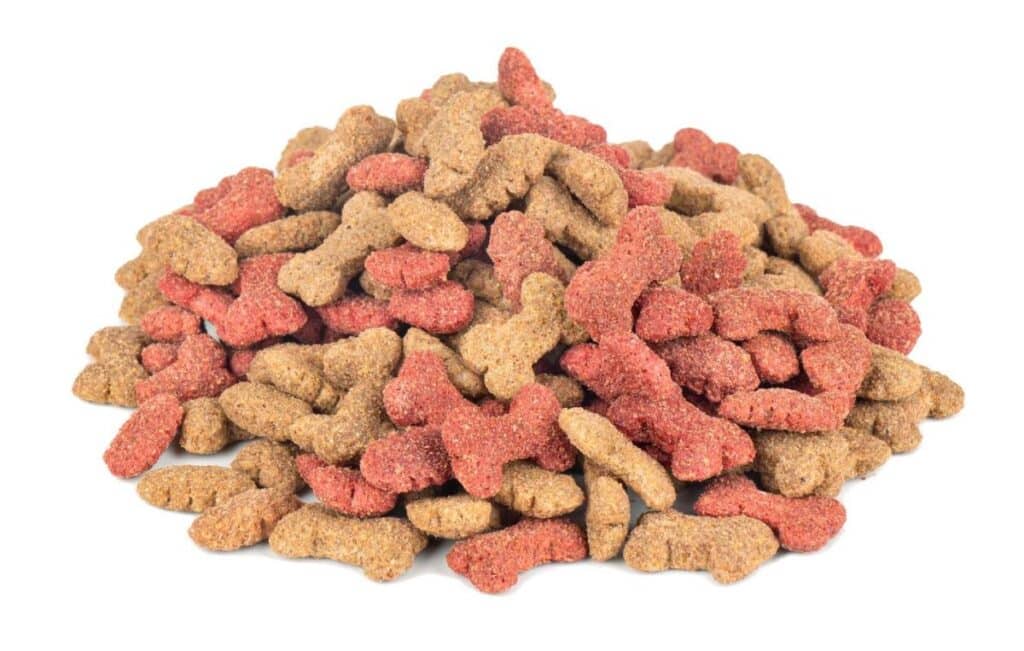 des os dans les croquettes pour chien