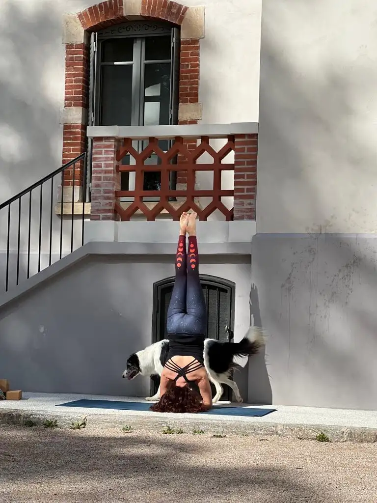 Doga