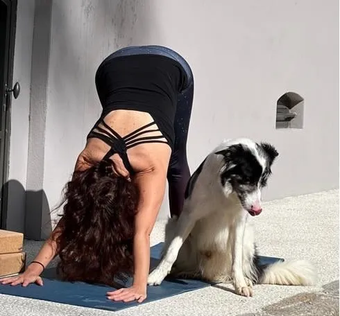 Yoga pour chien
