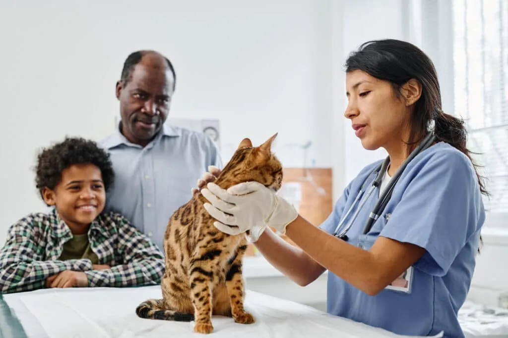 soins animal vétérinaire comparaison