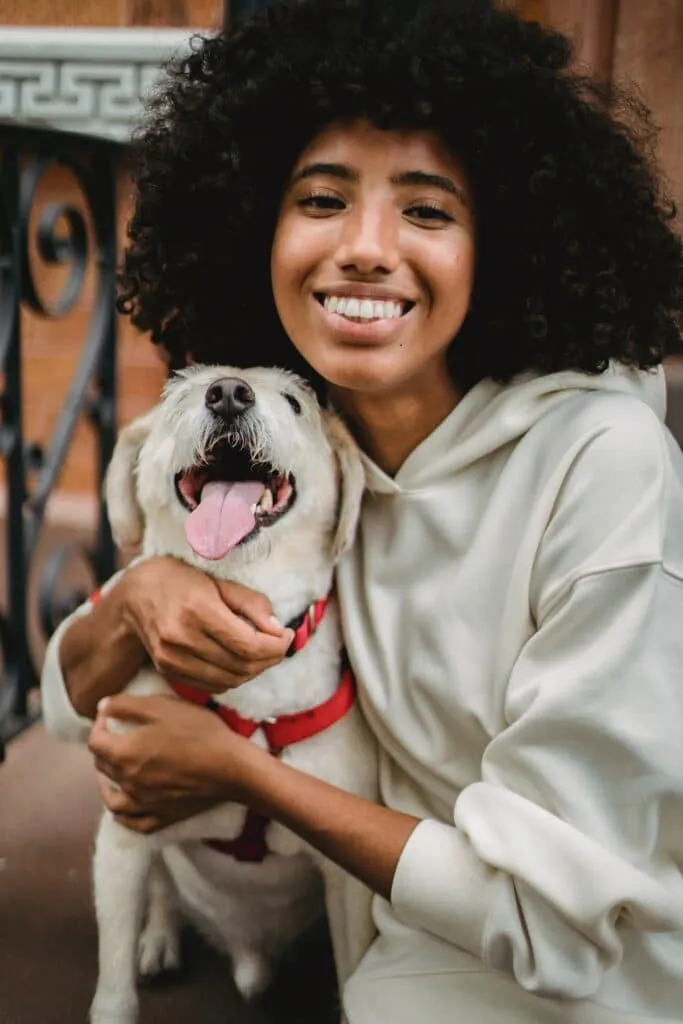 colliers pour chien personnalisés